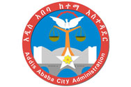 Jobs in Addis Ababa